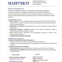 Cerco lavoro come autista