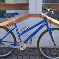 Bicicletta tipo Mtb da donna